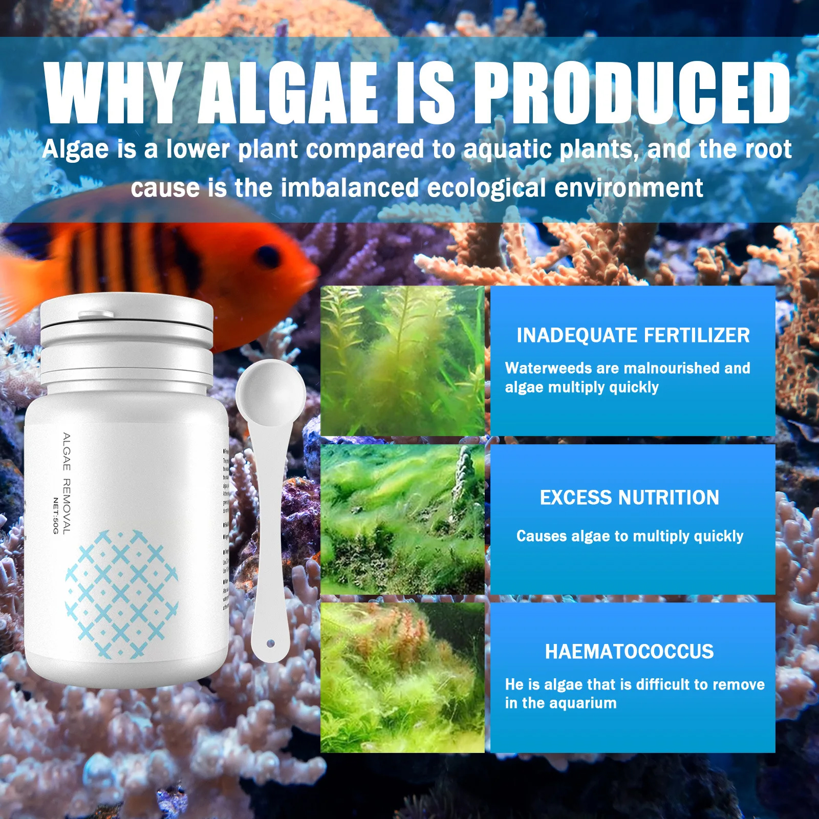 Algae Control Tablets for Aqua - đánh giá và giá Water Purification Tablet