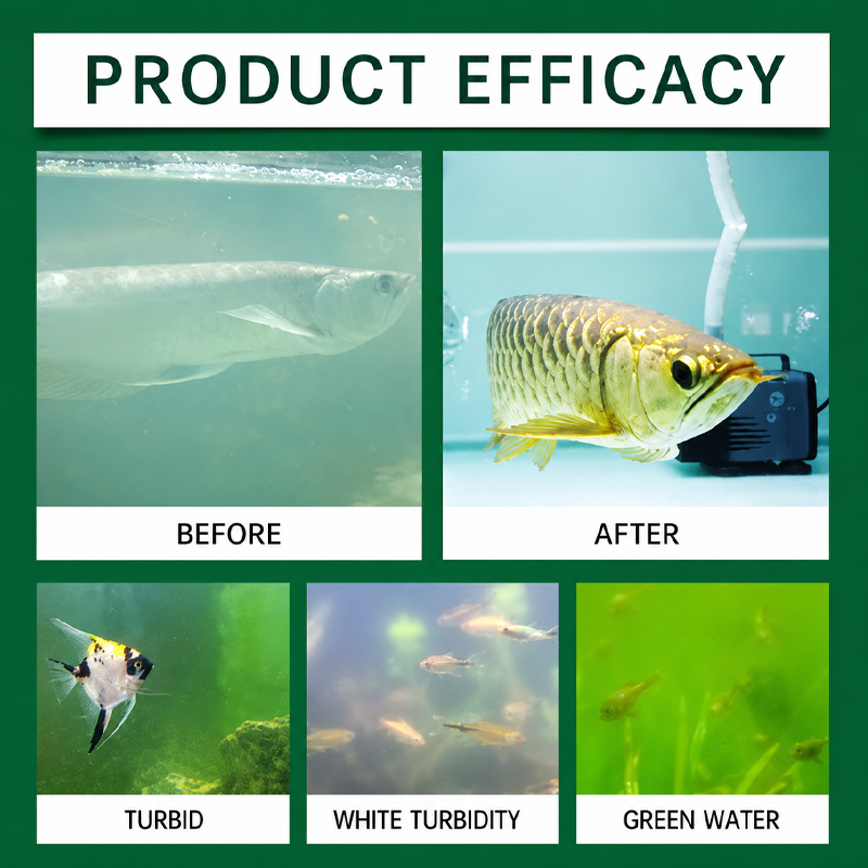 Aquarium Water Purification Ta - đánh giá và giá Water Purification Tablet