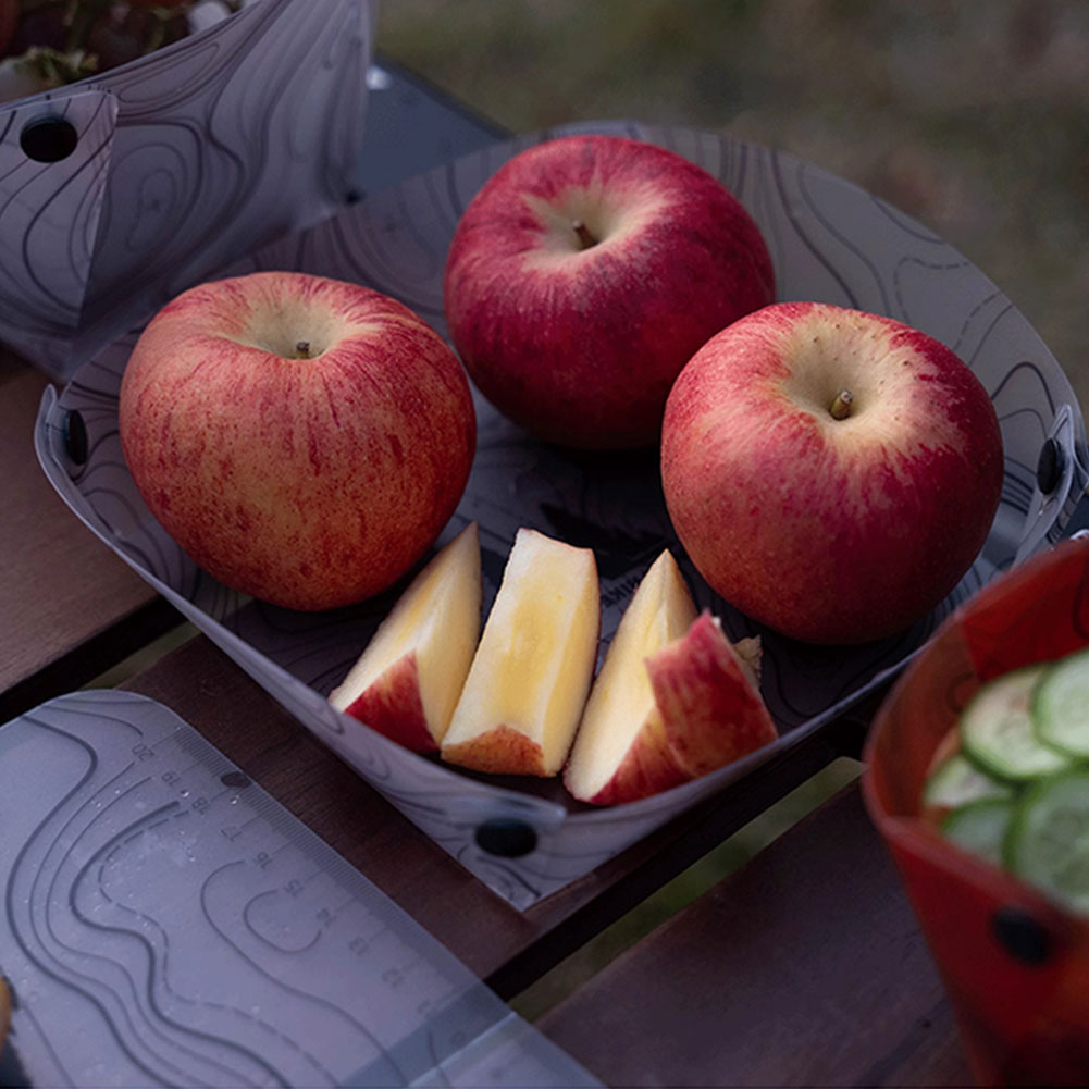 Outdoor Lightweight Folding Ta - đánh giá và giá Camping Cooking Plate